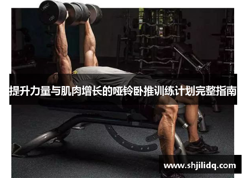 提升力量与肌肉增长的哑铃卧推训练计划完整指南