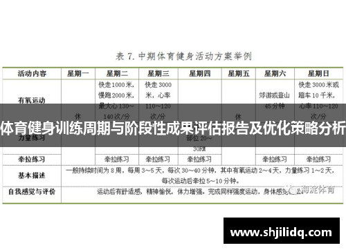 体育健身训练周期与阶段性成果评估报告及优化策略分析