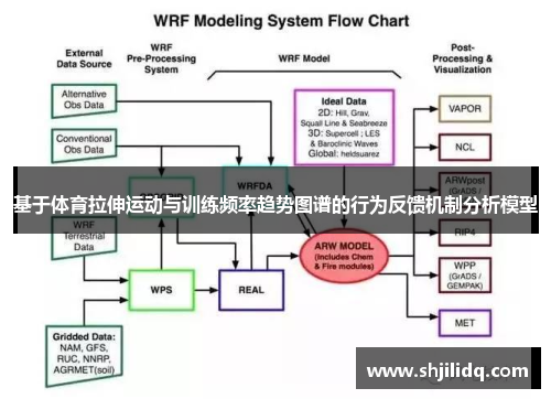 基于体育拉伸运动与训练频率趋势图谱的行为反馈机制分析模型